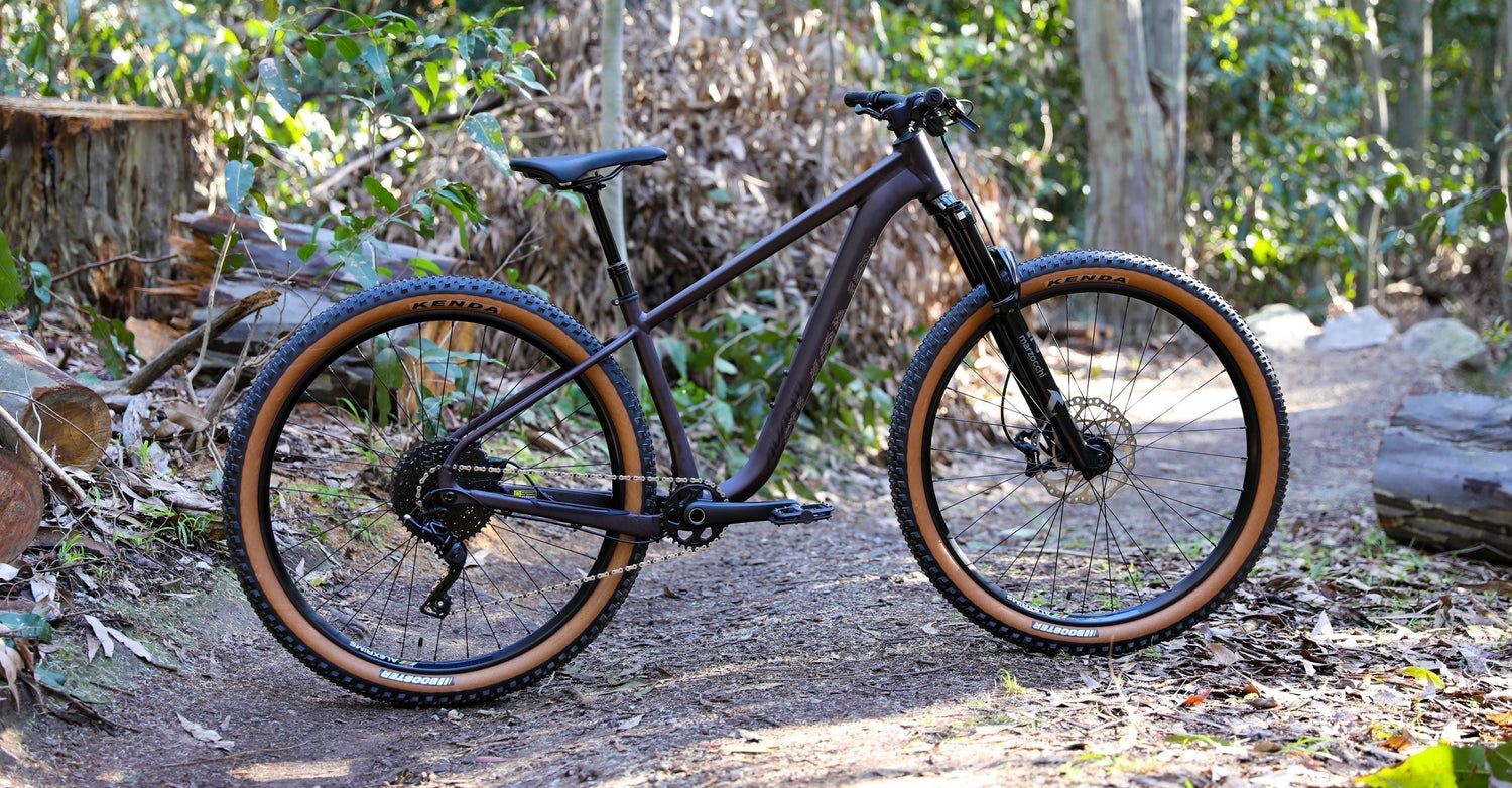 All-New Avanti Hammer Hardtails