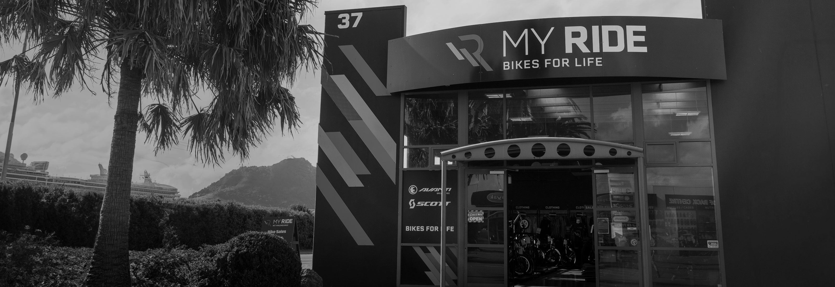 mt maunganui 3200 1100 desktop