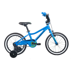 Avanti Mxr 16 - Blue