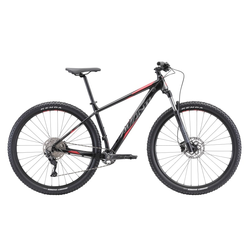 Avanti Competitor 1 - Black